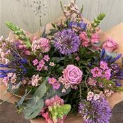 Bunch of the Month (March)